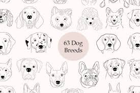 dog breed svg bundle outline face art