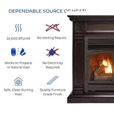 Dual Fuel Ventless Fireplace