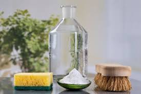 a guide to cleaning mold with vinegar