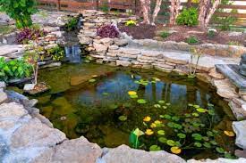 How To Build A Koi Pond In A Few Hours