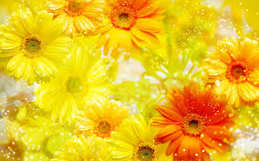 Image result for yellow flowers