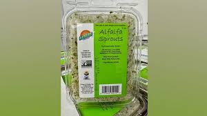 alfalfa sprouts recalled for possible e