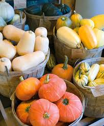 Summer squash—like zucchini, crookneck, and patti pan—are harvested small, while the skins are still soft. Winter Squash Growing Information How To Plant Grow Harvest