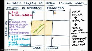 Different Disorders Of Pth And Serum Calcium Diagram
