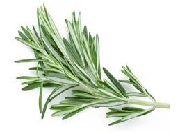 BİBERİYE ile ilgili görsel sonucu