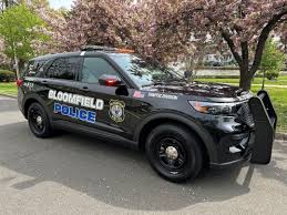 vehicles stolen in bloomfield police