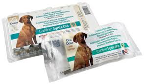 Canine Spectra 9 9 Way Dog Vaccine