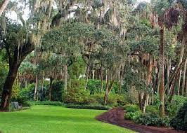 Bok Tower Gardens