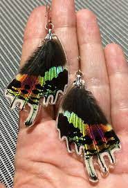 real erfly wings metallic rainbow