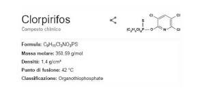 Il clorpirifos etile è principio attivo dei prodotti alisè wg, dursban 75 wg, pyrinex me; Clorpirifos Metile Pesticida Pericoloso Idee Green