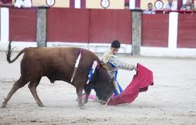 Ricardo de Santiago, el torero buscado | Noticias La Tribuna de Toledo