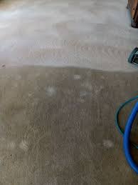 carpet cleaning carmel indiana all