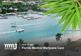 Maybe you would like to learn more about one of these? Getting A Medical Cannabis Card In Florida Florida Mmj Card