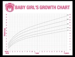 Dry Erase Baby Girl Growth Chart Decal