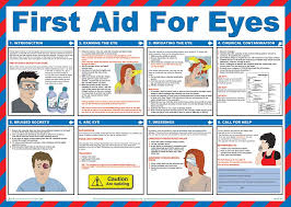 Printable Emergency First Aid Chart First Aid For Eyes