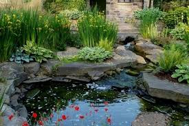 15 Small Backyard Pond Ideas Water