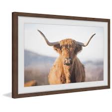 Highland Cow By Marmont Hill Framed