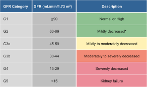 Figure 1 Glomerular Filtration Rate Categories In Chronic