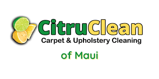 upholstery cleaning services maui hawaii