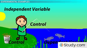 A number or amount whose value depends on the value of another element in the same mathematical…. Identifying Interpreting Independent Dependent Variables Video Lesson Transcript Study Com