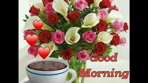 We did not find results for: Good Morning My Dear Friends Youtube