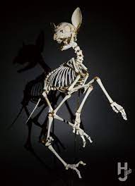 シン・ゴジラ』や『FF15』素材提供でもおなじみ骨オヤジによる美しい骨アート「金華の幻影」【H.M.S.】 – Hobby JAPAN Web