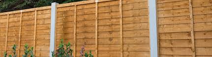 Best Fence For Your Garden