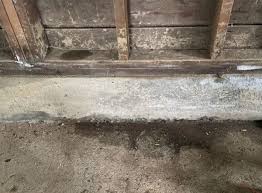 Water Leak Under Concrete