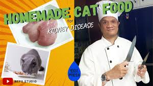 healthy cat food homemade for cat