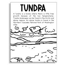 All rights belong to their respective owners. Tundra Biome Project Worksheets Teachers Pay Teachers