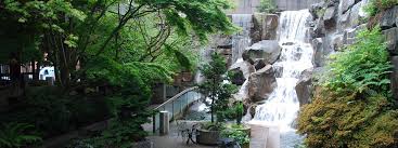 waterfall garden park serenity in the