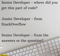 The core difference between senior and junior developers is that senior developers are in general more skilled in their field than junior developers. Senior Developer Where Did You Get This Part Of Code Junior From Stackoverflow From The Answers Or The Question Starecat Com