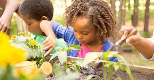 Gardening Tips For Families Fun And