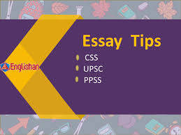 english essay writing exle for css