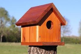 Birdhouse Plans Easy One Board Diy