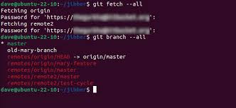 how to checkout a remote git branch
