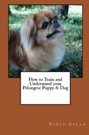 Our site is continually updated with new pekingese pictures for people who are searching for pictures and images. How To Train And Understand Your Pekingese Puppy Dog Stead Vince 9781329482647 Amazon Com Books