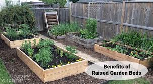 Save your back by gardening in your own diy raised garden. Benefits Of Raised Garden Beds Grow A Veggie Garden Anywhere