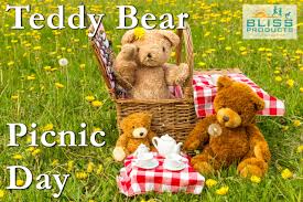 teddy bear picnic day bliss s