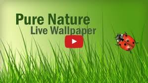 pure nature free live wallpaper für