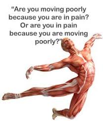 Physiotherapy Quotes Google Search Physical Therapy