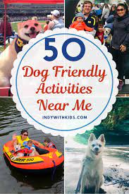 discover 50 dog friendly activities near me