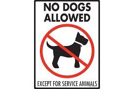 No Dogs Allowed Except for Service Animals Aluminum Dog Sign - Etsy Canada