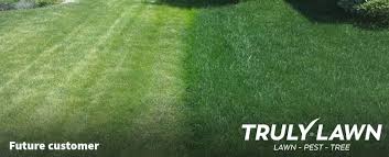 truly lawn care