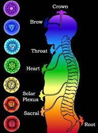 Kriya Yoga Techniques By Lahiri Mahashaya - Location of the Chakras and position for meditation # Location of the Chakras The Chakras are subtle astral (ethereal) organs inside the spinal cord; ideal