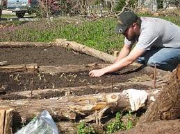 Build A Raised Garden Bed From Logs