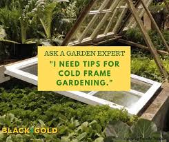 I Need Tips For Cold Frame Gardening