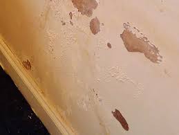Damp Treatment And Waterproofing