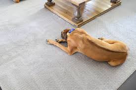 the best pet friendly carpet