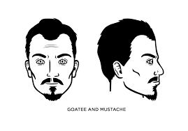 Moustache styles come in all shapes and sizes, but the basics of how to grow a moustache remain the same for all types of moustaches. Goatee And Mustache Style How To Trim Guide Examples More